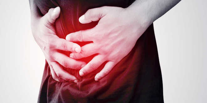 Things that damage the intestinal flora