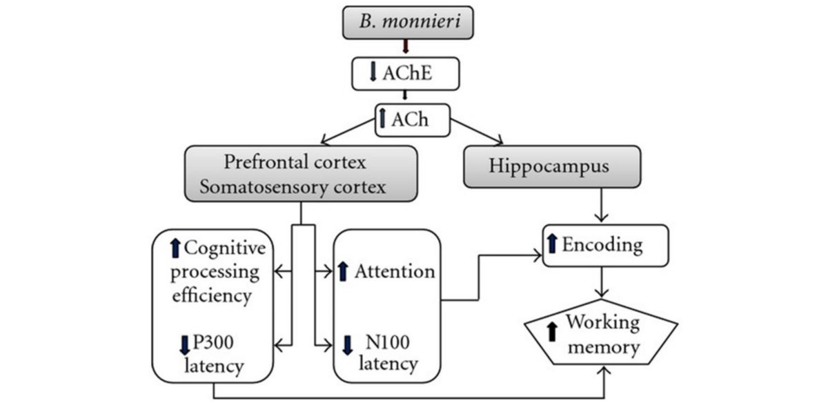 Figure 4 Figure 4