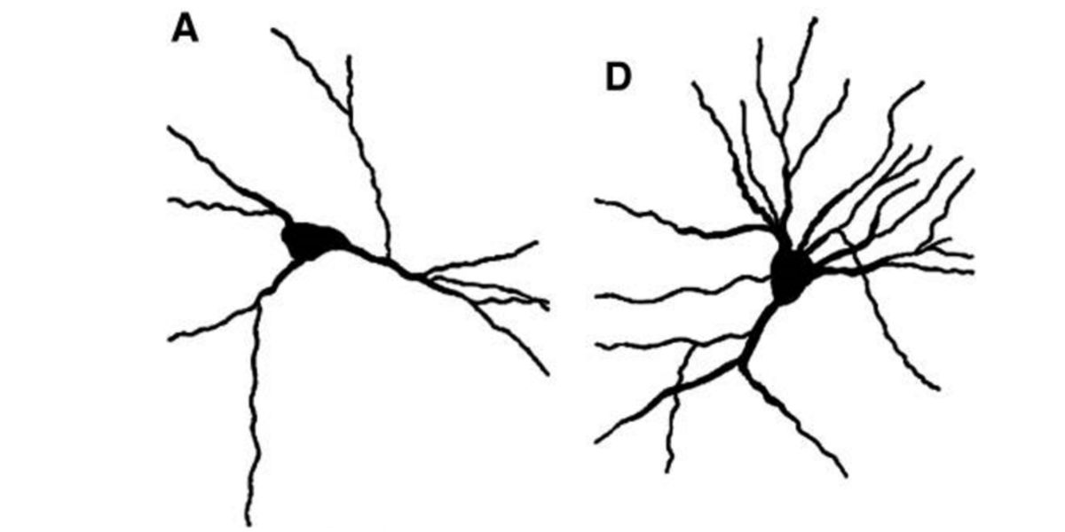Figure 5 Figure 5