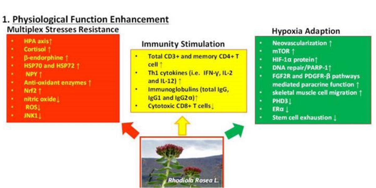 Figure 7 Figure 7