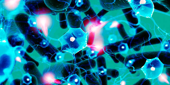 Problems in the Intestinal Flora