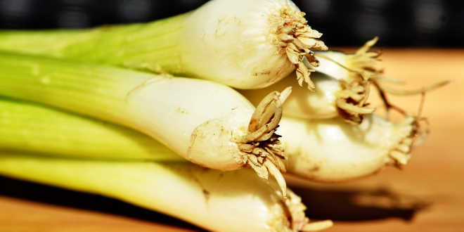 Leeks are sources of prebiotics