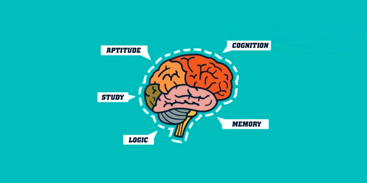 Nootropic Supplement Nootropic Supplement