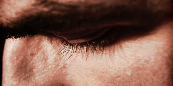 Stress Intestinal Flora