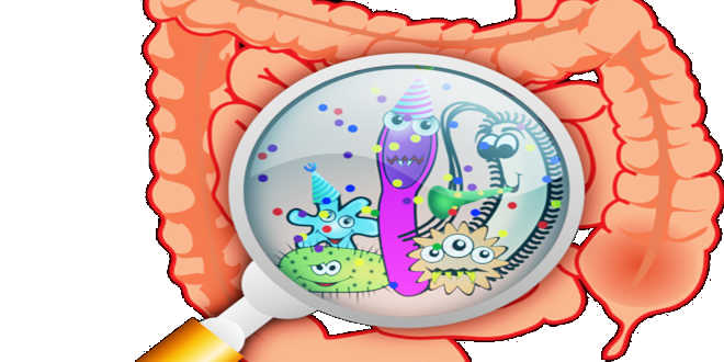 Probiotics and Prebiotics
