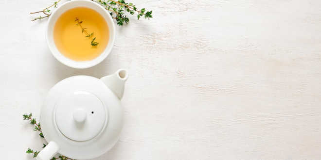 Green tea against aging