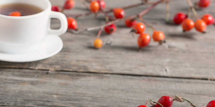Rose hip infusion Rose hip infusion