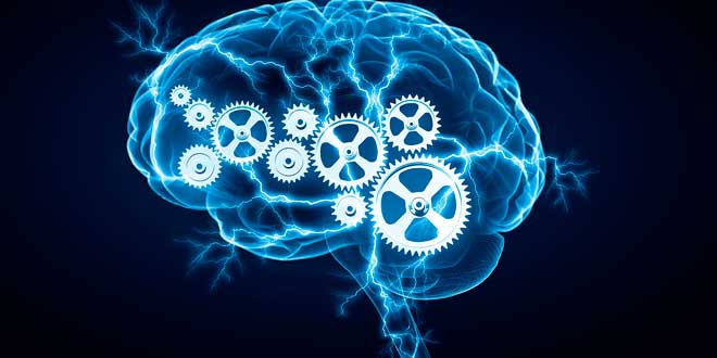 Tyrosine supports a healthy brain Tyrosine supports a healthy brain