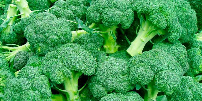 Broccoli and vitamin C Broccoli and vitamin C