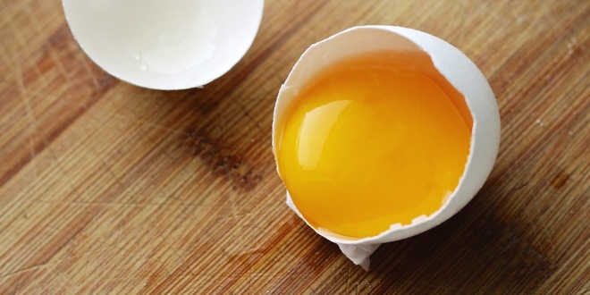 Egg yolk for ocular health Egg yolk for ocular health