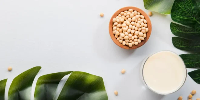 The best foods to recharge the electrolytes in the body