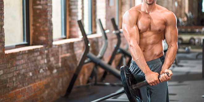 Full body routine Full body routine