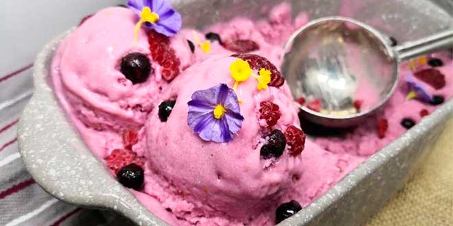 Vegan Ice Cream