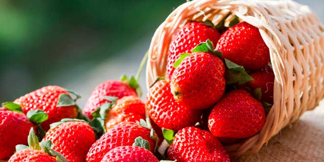 Basket with strawberries Basket with strawberries
