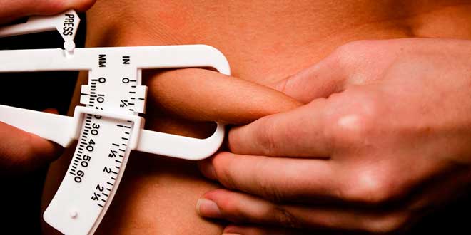 Fat accumulation Fat accumulation