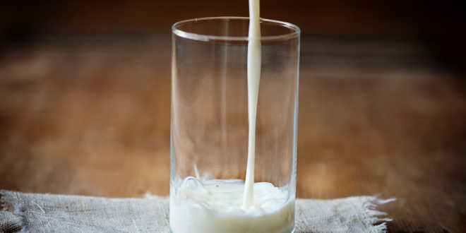 Benefits of coconut milk for health