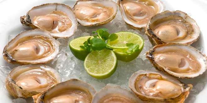 Oysters