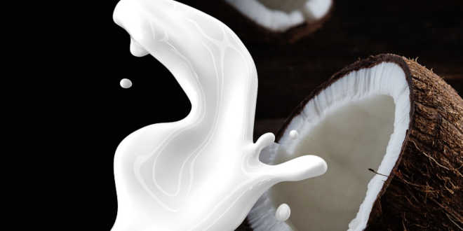 Coconut Milk – What is it, Properties and Benefits