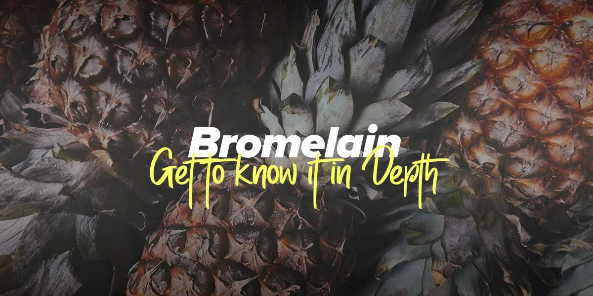 Bromelain: Properties and Benefits for Improving Protein Digestion