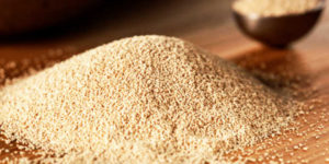 Brewer's Yeast Ingredient