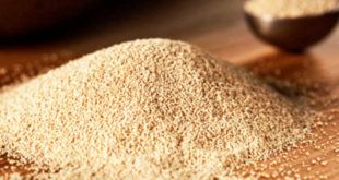 Brewer's Yeast Ingredient