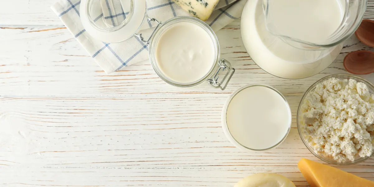 What is Micellar Casein and what are its benefits?