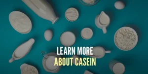 Casein - All you need to know!