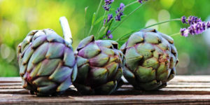 Properties and Benefits of Artichoke