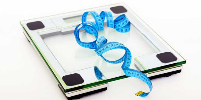 Artichoke supports weight loss