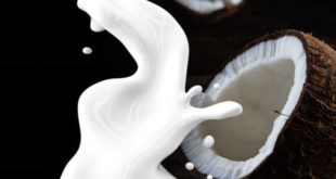 All you need to know about Caprylic acid