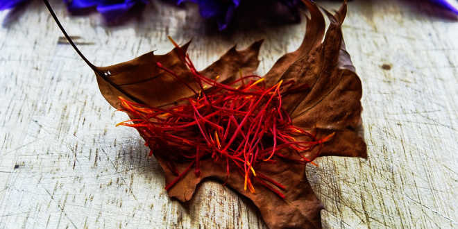 Crocus sativus or saffron