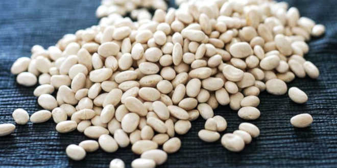 White Kidney Bean – What is it, Properties and Benefits