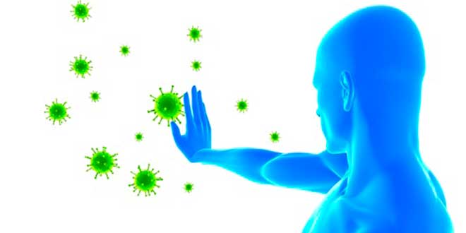 Antimicrobial properties Antimicrobial properties