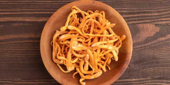 Cordyceps Mushroom: Properties, Benefits and Sports Performance Cordyceps Mushroom: Properties, Benefits and Sports Performance
