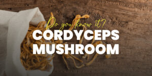 Cordyceps Mushroom Benefits