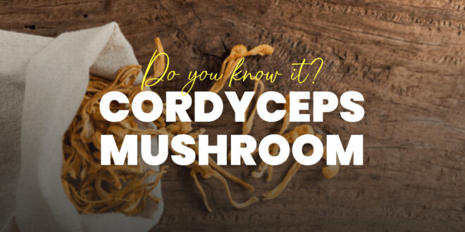 Cordyceps – Millenary Fungi with incredible Therapeutic properties