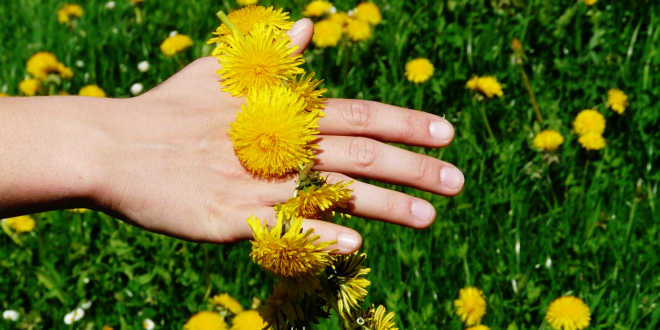 Flower bracelet