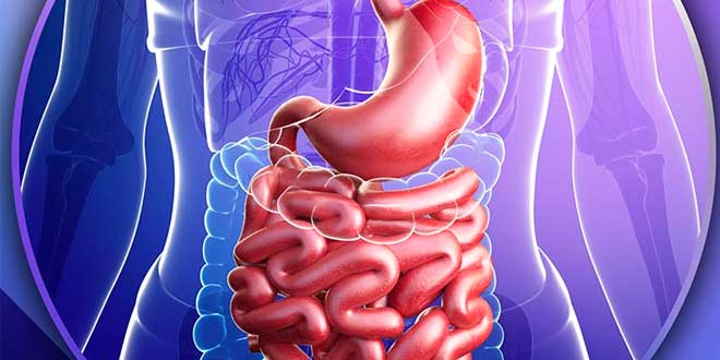 Leaky gut syndrome Leaky gut syndrome