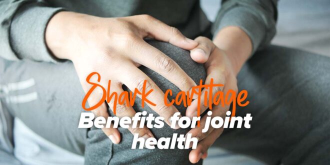 Shark cartilage: Properties and benefits for joint health Shark cartilage: Properties and benefits for joint health