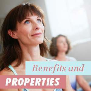 Benefits and Properties of Soy Isoflavones