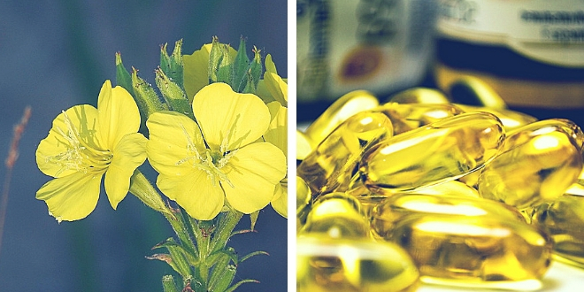 Evening Primrose Oil