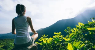 8 amazing benefits of Ginkgo Biloba for health