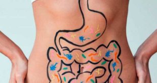 Inulin and intestinal health