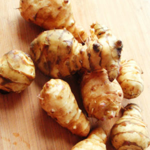 Jerusalem Artichoke Jerusalem Artichoke