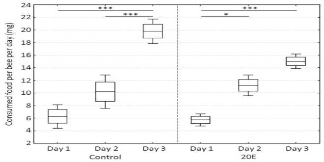 Consumed food per bee per day