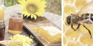 Properties of royal jelly