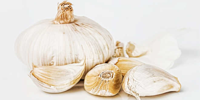 Garlic and garlic cloves