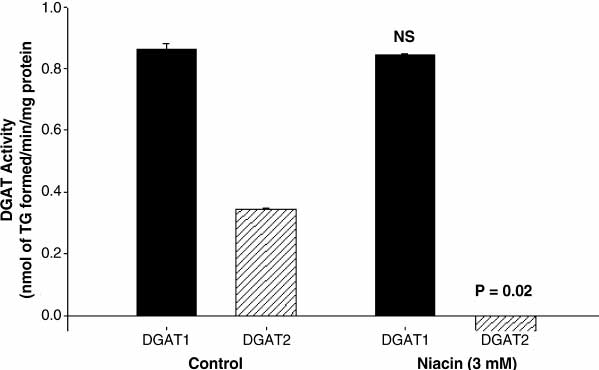 Niacin Study Graphic Control Group