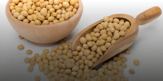 Soy Lecithin – An ideal supplement against Cholesterol