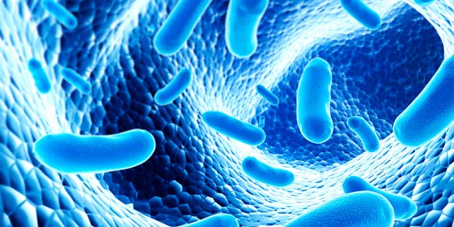 Probiotics